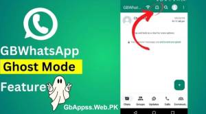 Hide Your Activities With One Click – GBWhatsApp Ghost Mode Explained